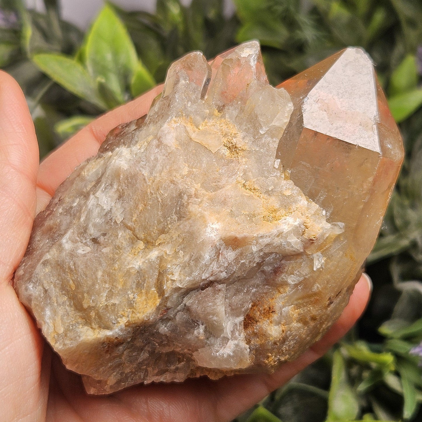 Kundalini Congo Citrine Quartz Cluster 283.5g, Smoky Citrine Crystal Multi