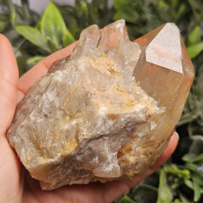 Kundalini Congo Citrine Quartz Cluster 283.5g, Smoky Citrine Crystal Multi
