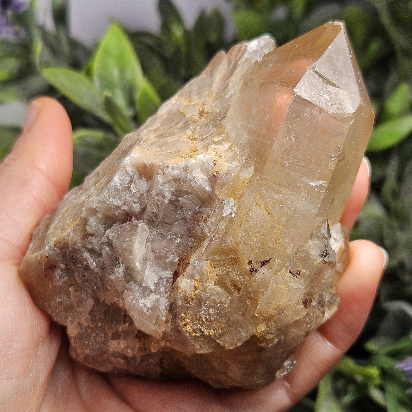 Kundalini Congo Citrine Quartz Cluster 283.5g, Smoky Citrine Crystal Multi