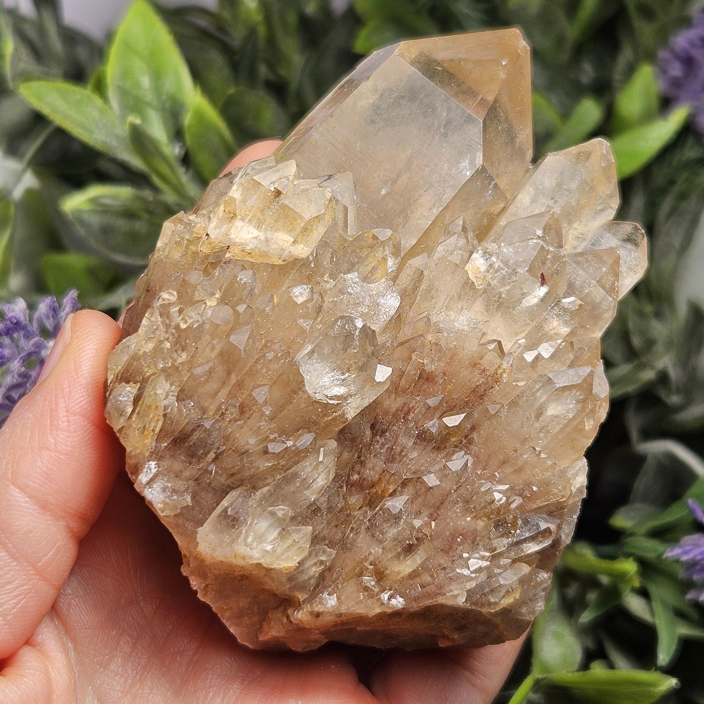 Kundalini Congo Citrine Quartz Cluster 283.5g, Smoky Citrine Crystal Multi
