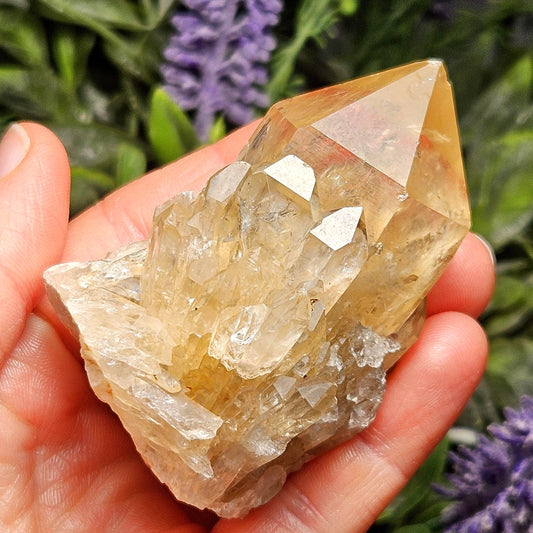 Kundalini Congo Citrine Quartz Cluster 128.03g, Smoky Citrine Crystal Multi