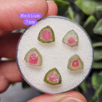Watermelon Tourmaline Crystal Slice, Natural Polished Specimen (5 to 10mm)