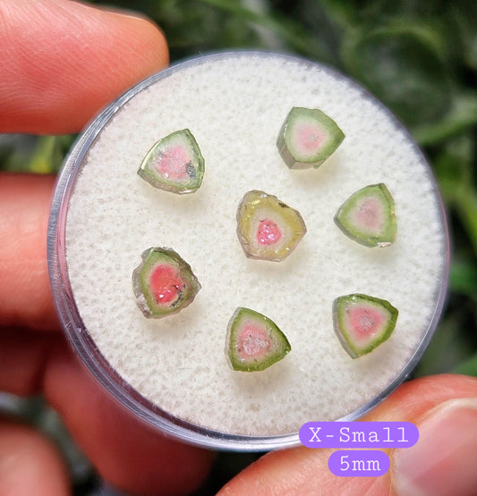 Watermelon Tourmaline Crystal Slice, Natural Polished Specimen (5 to 10mm)