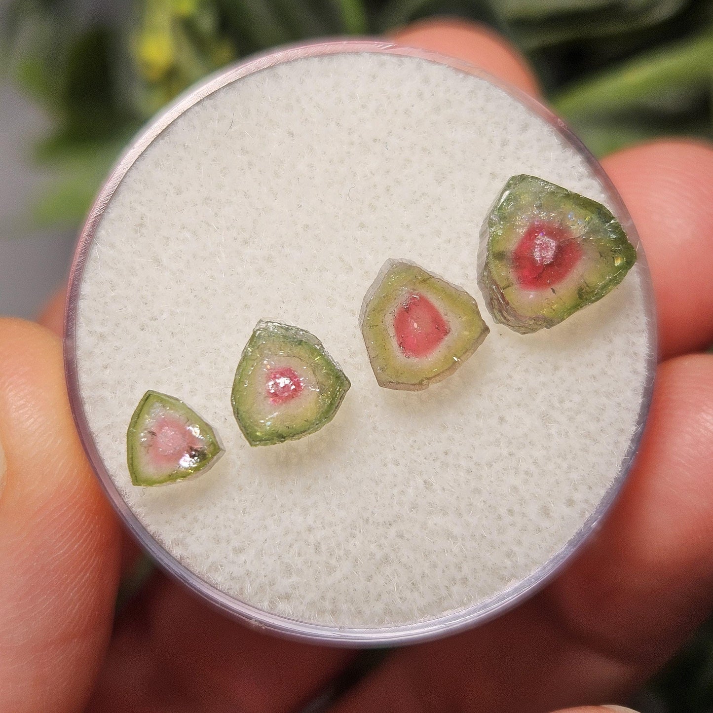 Watermelon Tourmaline Crystal Slice, Natural Polished Specimen (5 to 10mm)