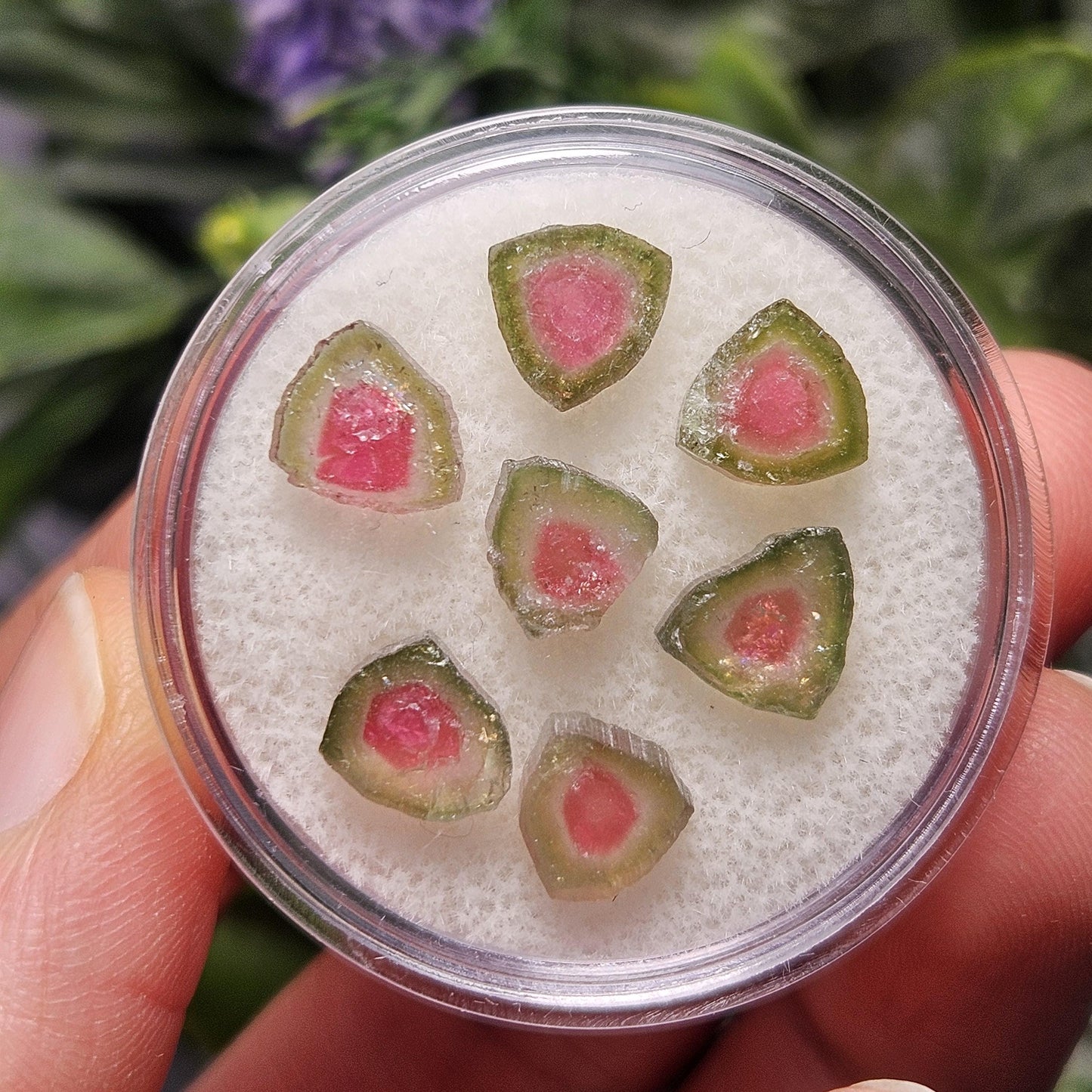 Watermelon Tourmaline Crystal Slice, Natural Polished Specimen (5 to 10mm)