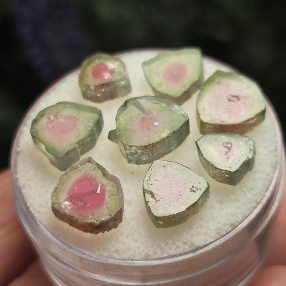 Watermelon Tourmaline Crystal Slice, Natural Polished Specimen (5 to 10mm)