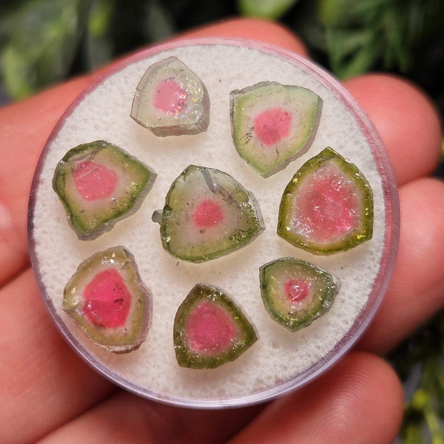 Watermelon Tourmaline Crystal Slice, Natural Polished Specimen (5 to 10mm)