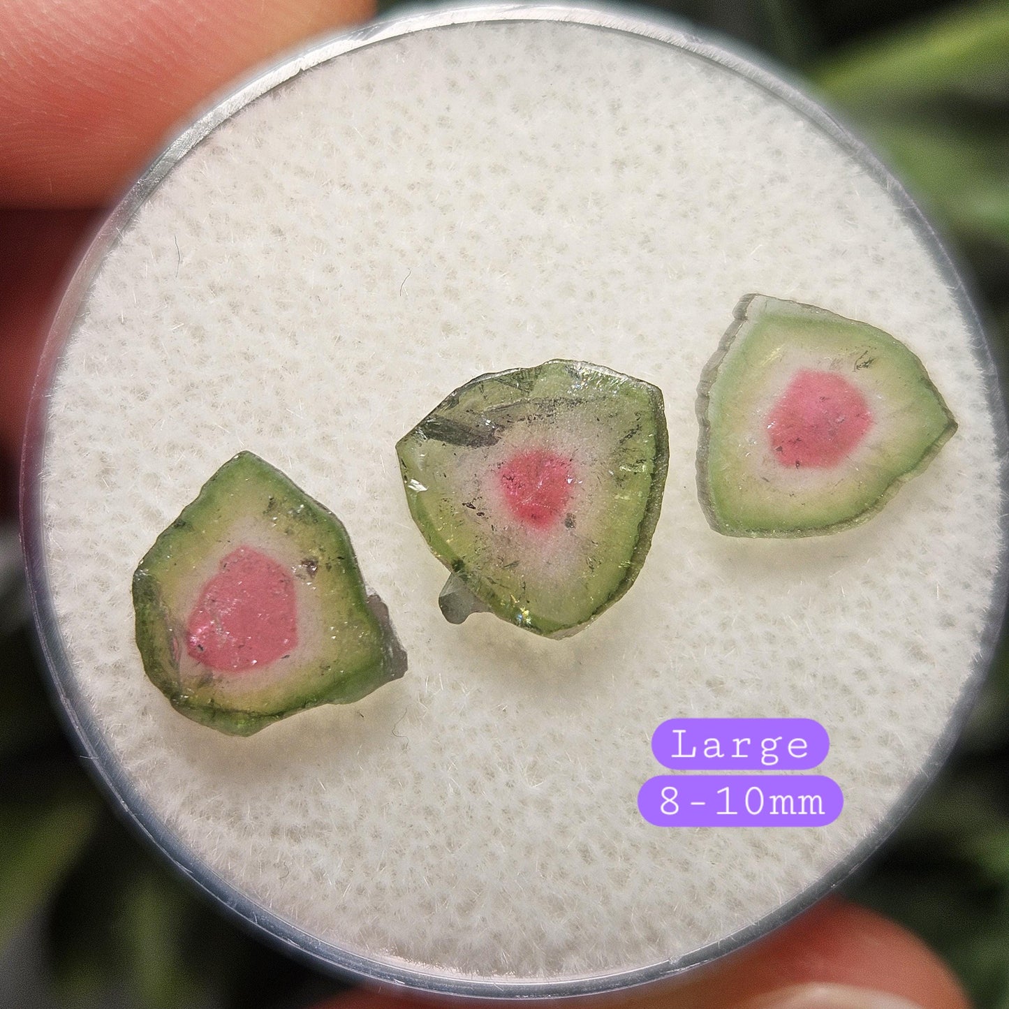 Watermelon Tourmaline Crystal Slice, Natural Polished Specimen (5 to 10mm)