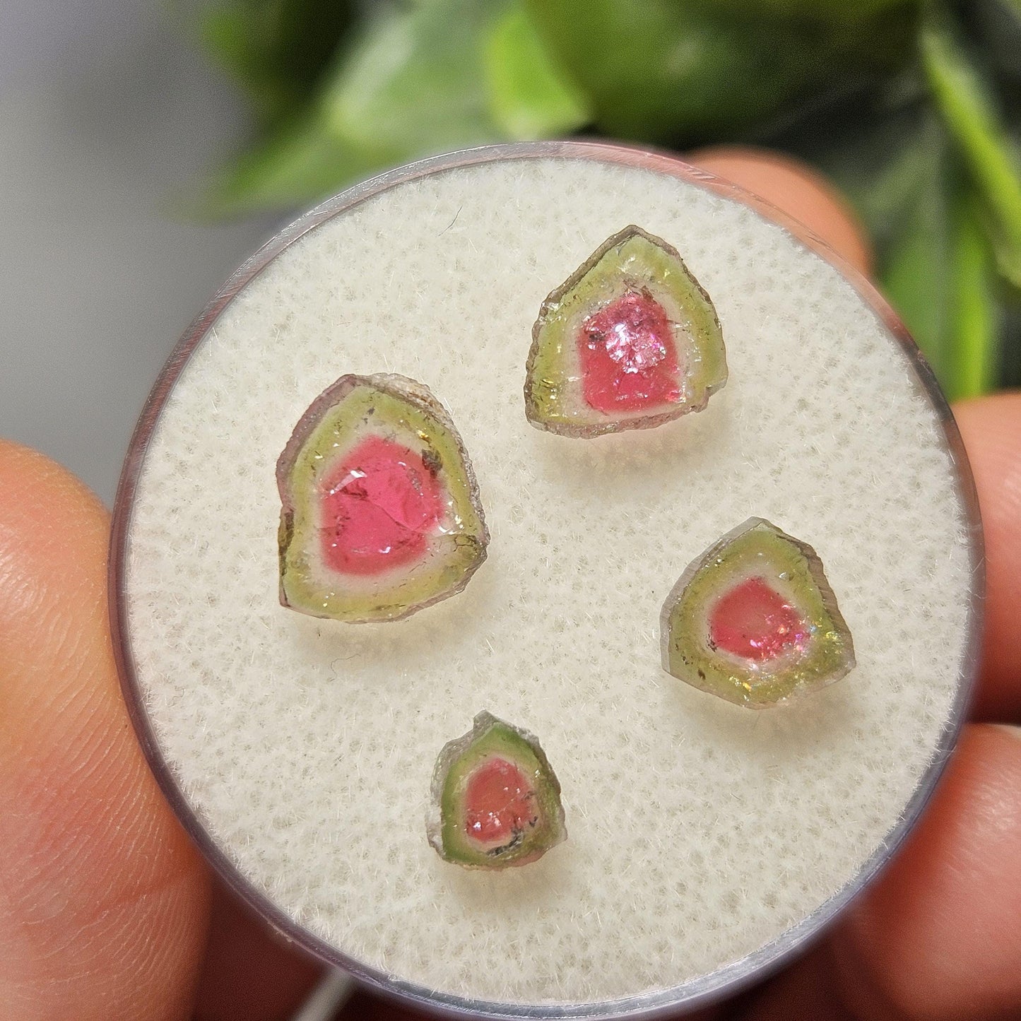 Watermelon Tourmaline Crystal Slice, Natural Polished Specimen (5 to 10mm)