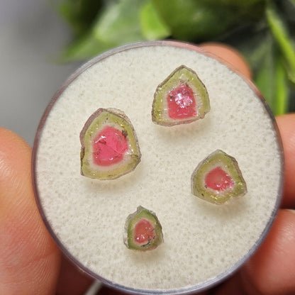 Watermelon Tourmaline Crystal Slice, Natural Polished Specimen (5 to 10mm)