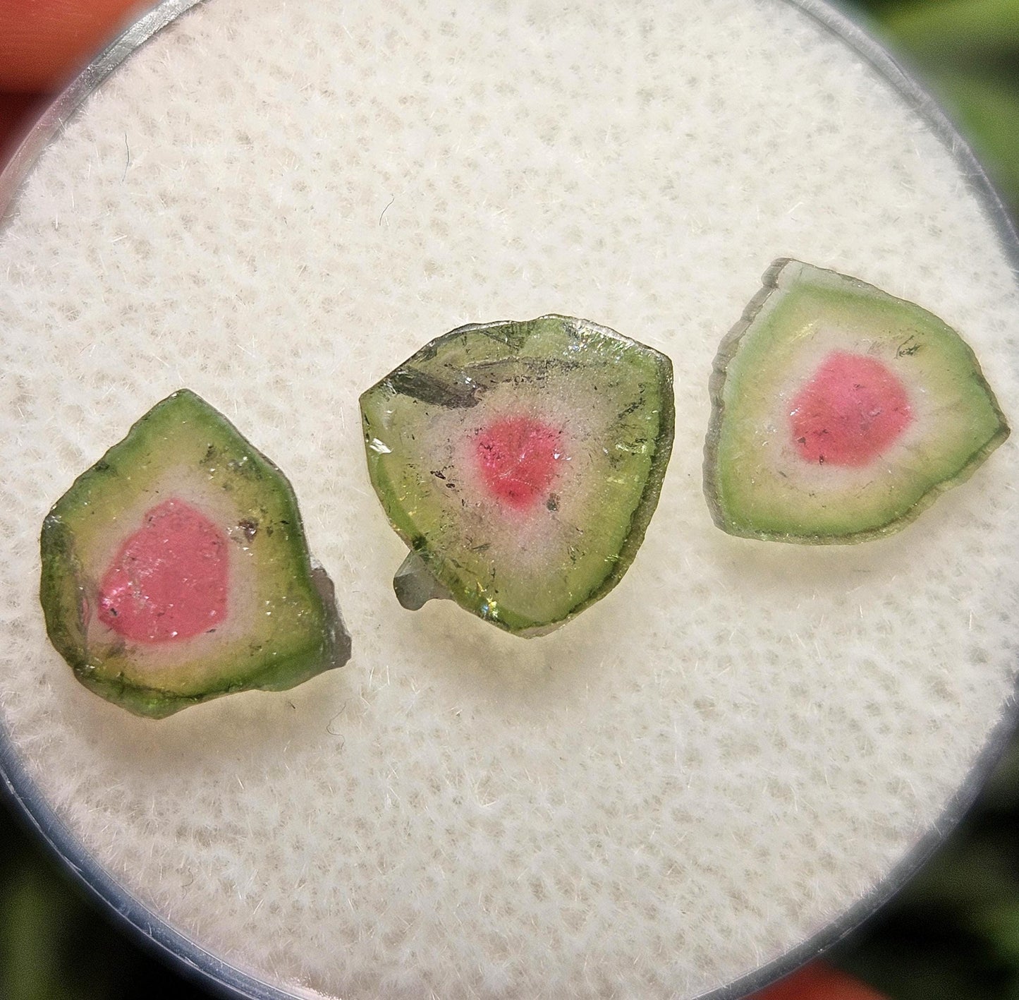Watermelon Tourmaline Crystal Slice, Natural Polished Specimen (5 to 10mm)