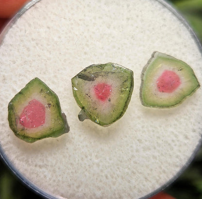 Watermelon Tourmaline Crystal Slice, Natural Polished Specimen (5 to 10mm)