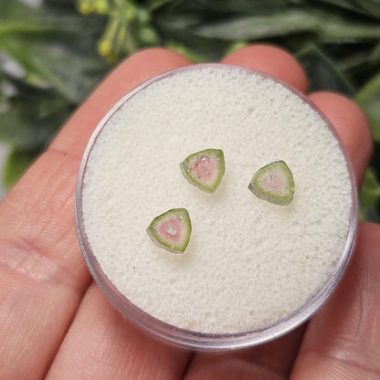 Watermelon Tourmaline Crystal Slice, Natural Polished Specimen (5 to 10mm)