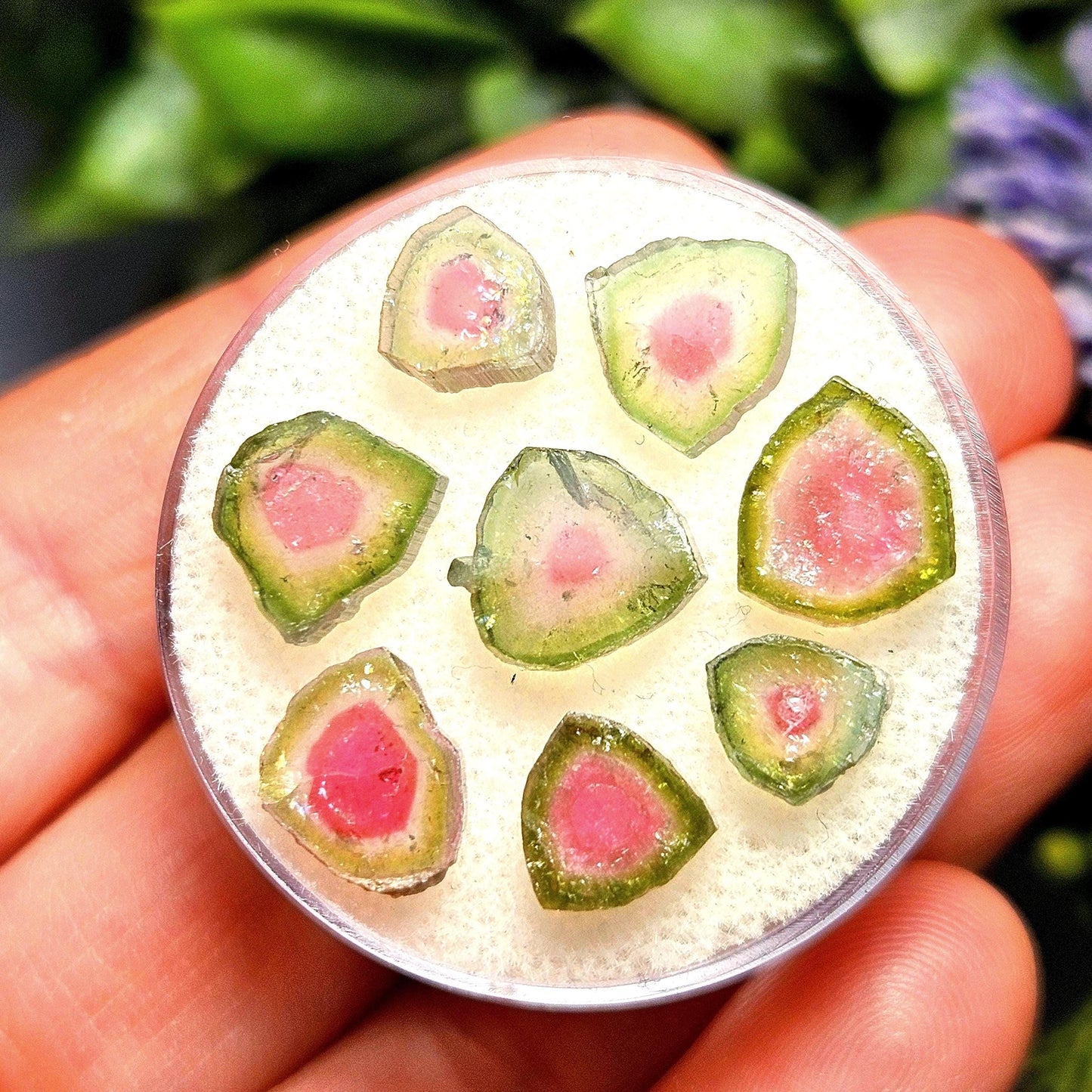 Watermelon Tourmaline Crystal Slice, Natural Polished Specimen (5 to 10mm)
