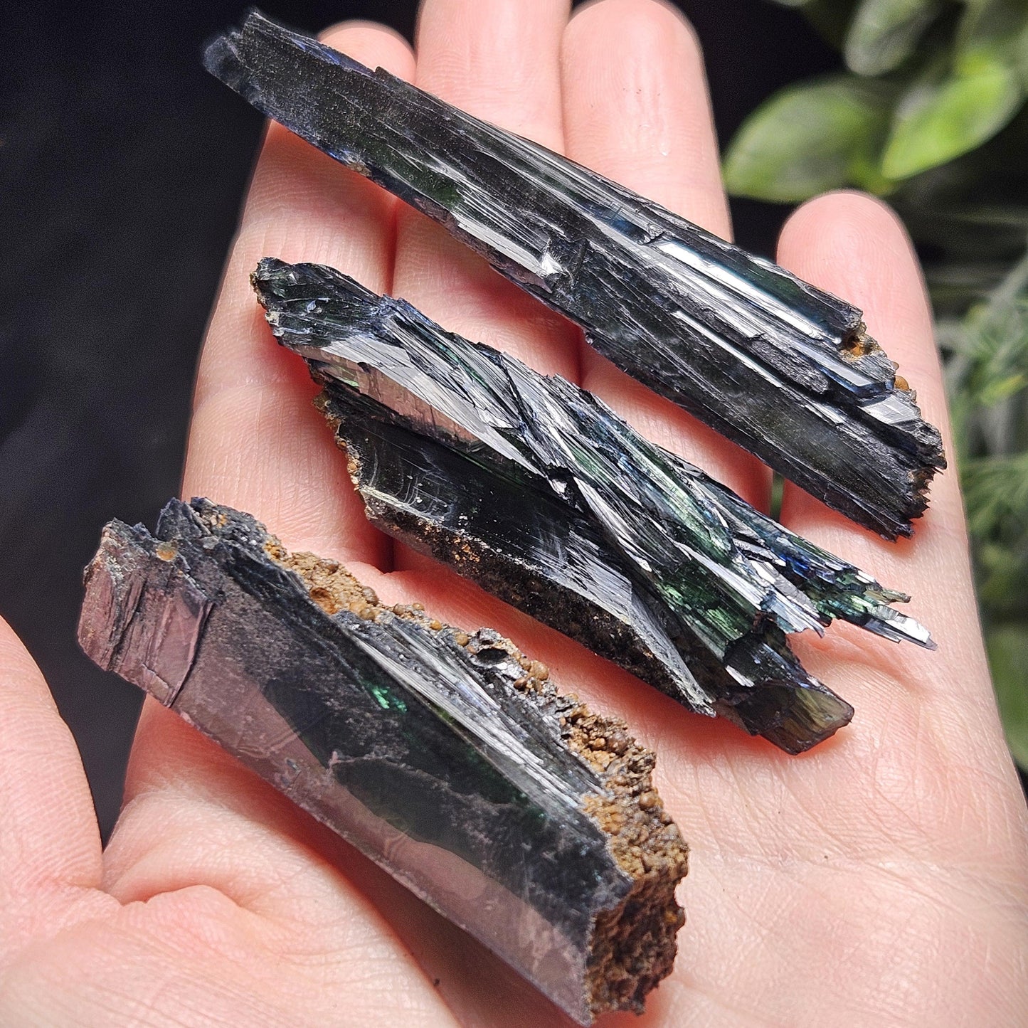 Vivianite Crystal Cluster (12