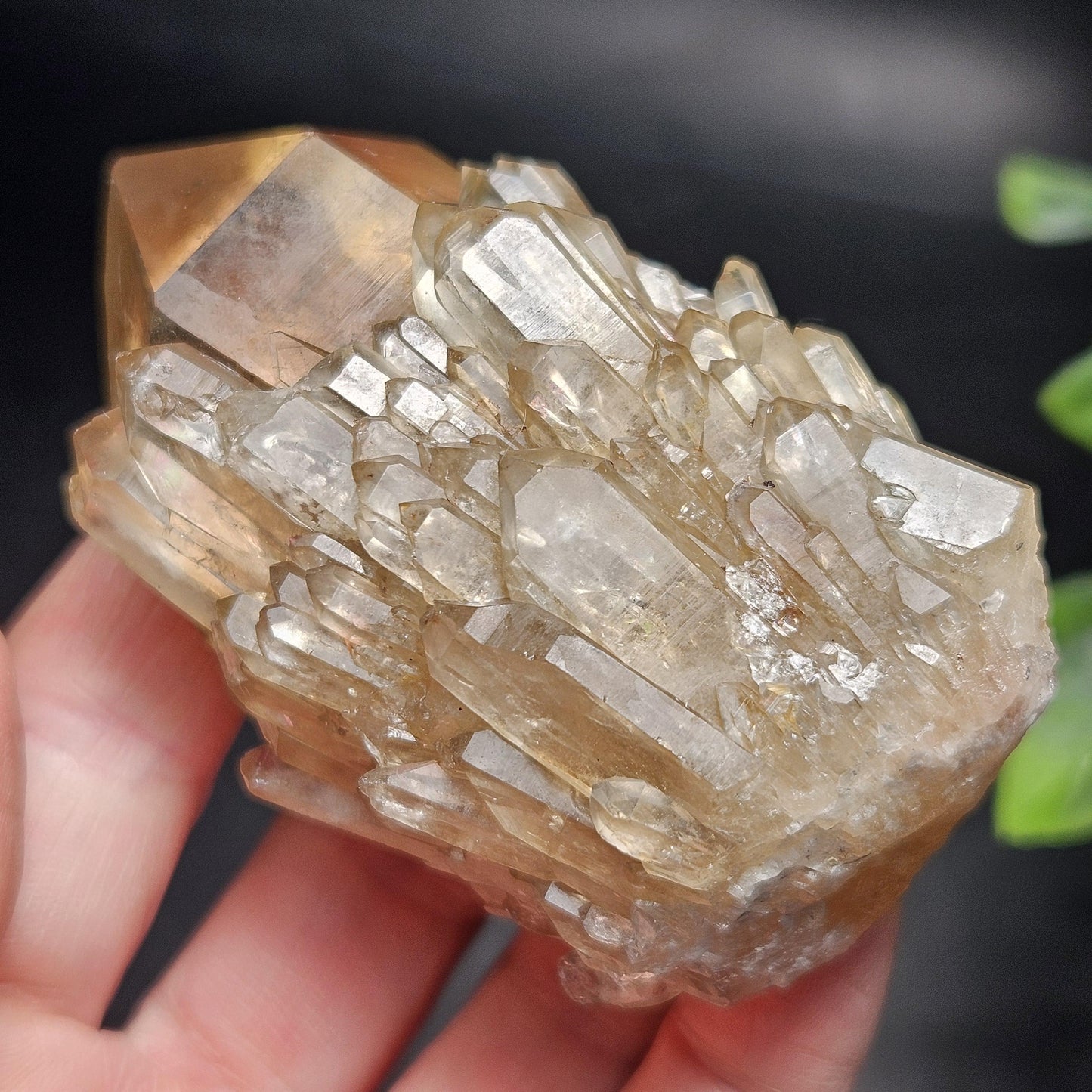 Kundalini Congo Citrine Quartz Cluster 159g, Smoky Citrine Crystal Multi