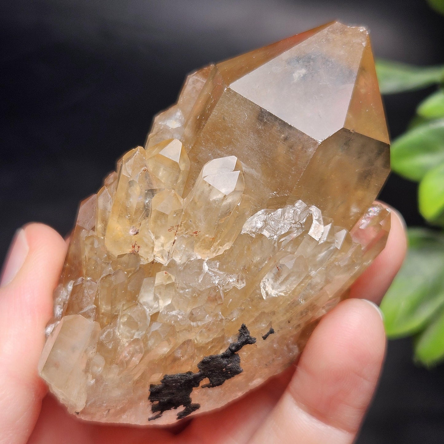 Kundalini Congo Citrine Quartz Cluster 159g, Smoky Citrine Crystal Multi