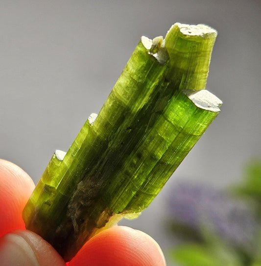 Chrome Green Tourmaline Crystal 6.36g, Terminated Tourmaline Specimen