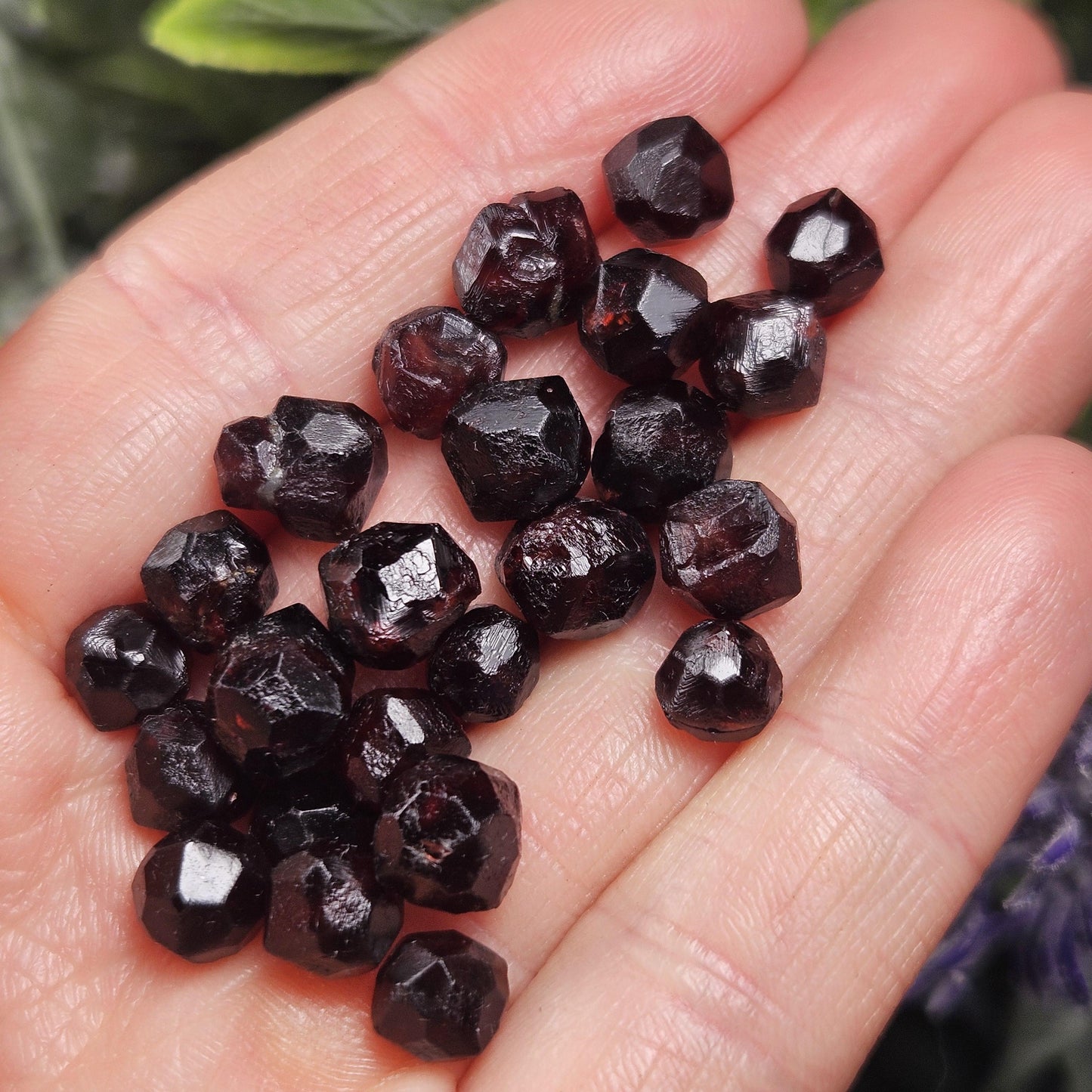 Red Garnet Crystals, Raw Dodecahedron Terminated Stones (5