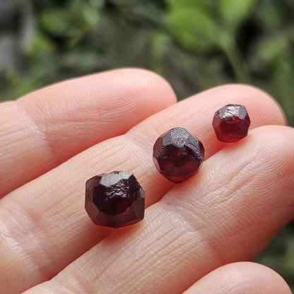 Red Garnet Crystals, Raw Dodecahedron Terminated Stones (5