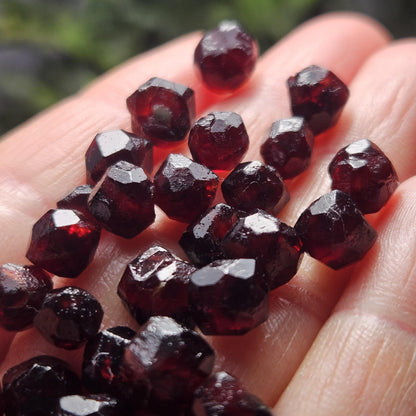 Red Garnet Crystals, Raw Dodecahedron Terminated Stones (5