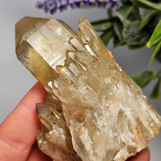 Kundalini Congo Citrine Quartz Cluster 146g, Smoky Citrine Crystal Multi