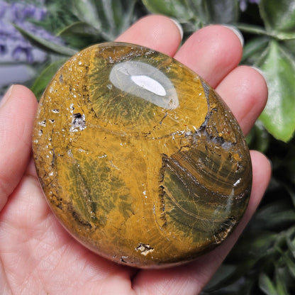 Starburst Ocean Jasper Palm Stone 2"+, Kabamby Madagascar Golden Ocean Jasper Crystal