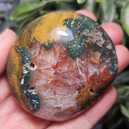 Starburst Ocean Jasper Palm Stone 2"+, Kabamby Madagascar Golden Ocean Jasper Crystal