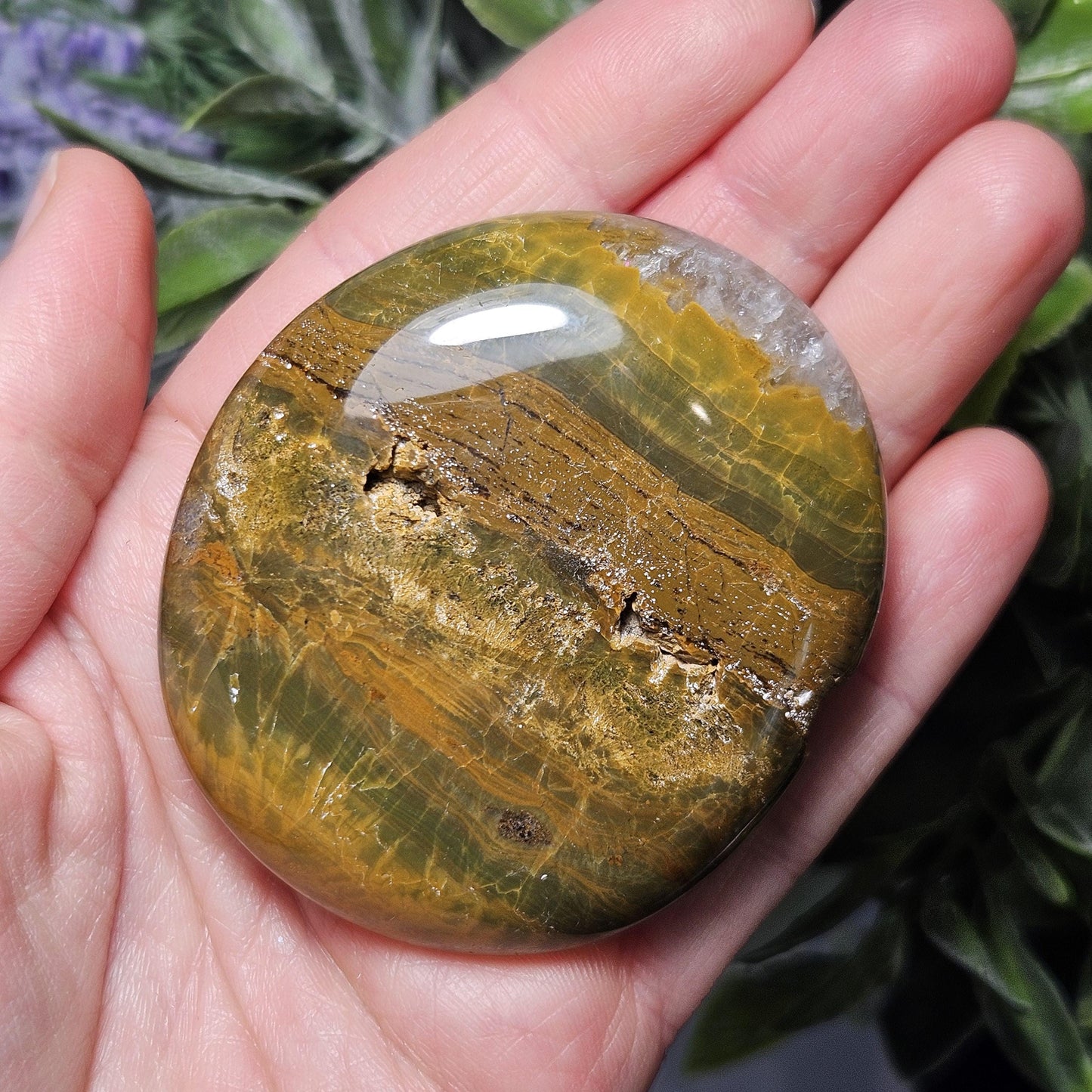Starburst Ocean Jasper Palm Stone 2"+, Kabamby Madagascar Golden Ocean Jasper Crystal