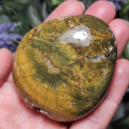 Starburst Ocean Jasper Palm Stone 2"+, Kabamby Madagascar Golden Ocean Jasper Crystal