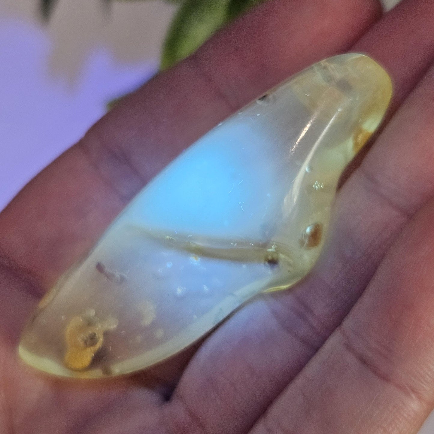Enhydro Amber with MOVING Bubble & Insect Inclusions, 9.32g