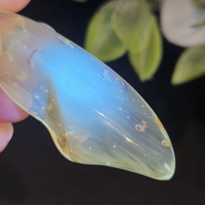 Enhydro Amber with MOVING Bubble & Insect Inclusions, 9.32g
