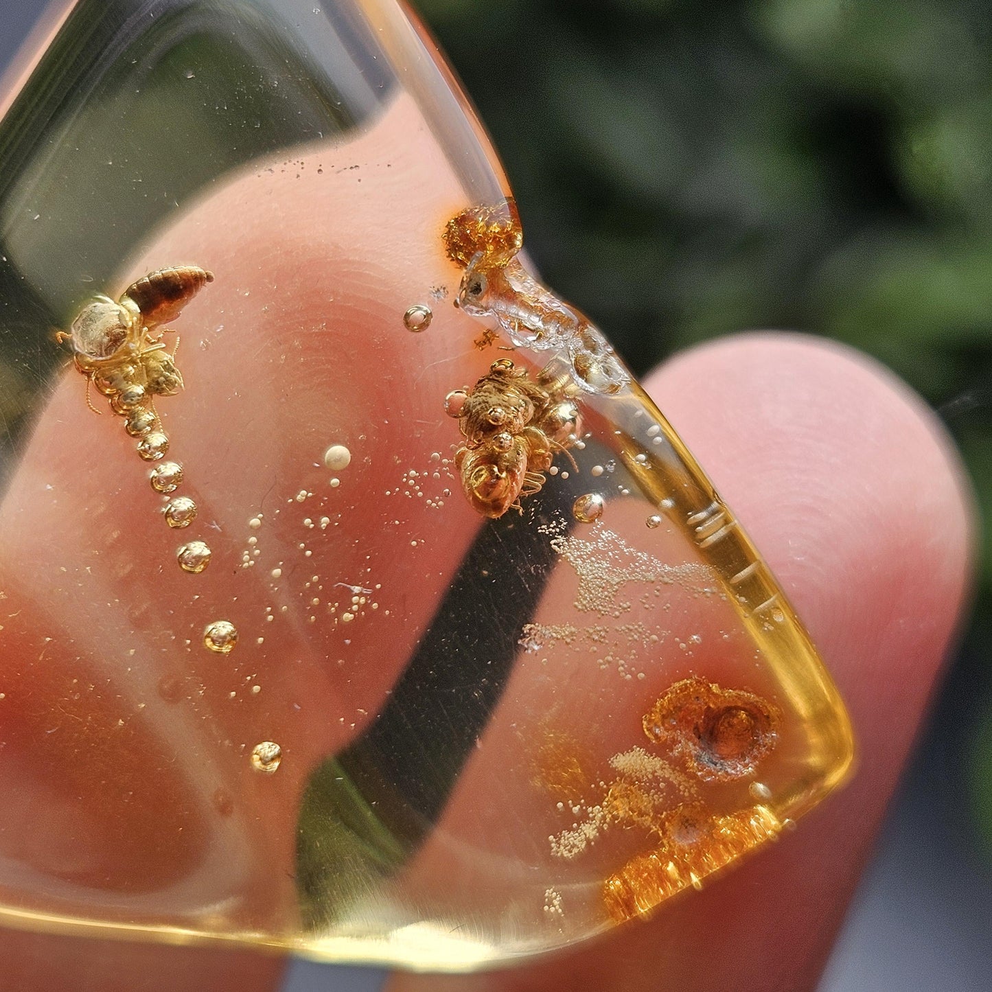 Enhydro Amber with MOVING Bubble & Bug Inclusions, 4.78g
