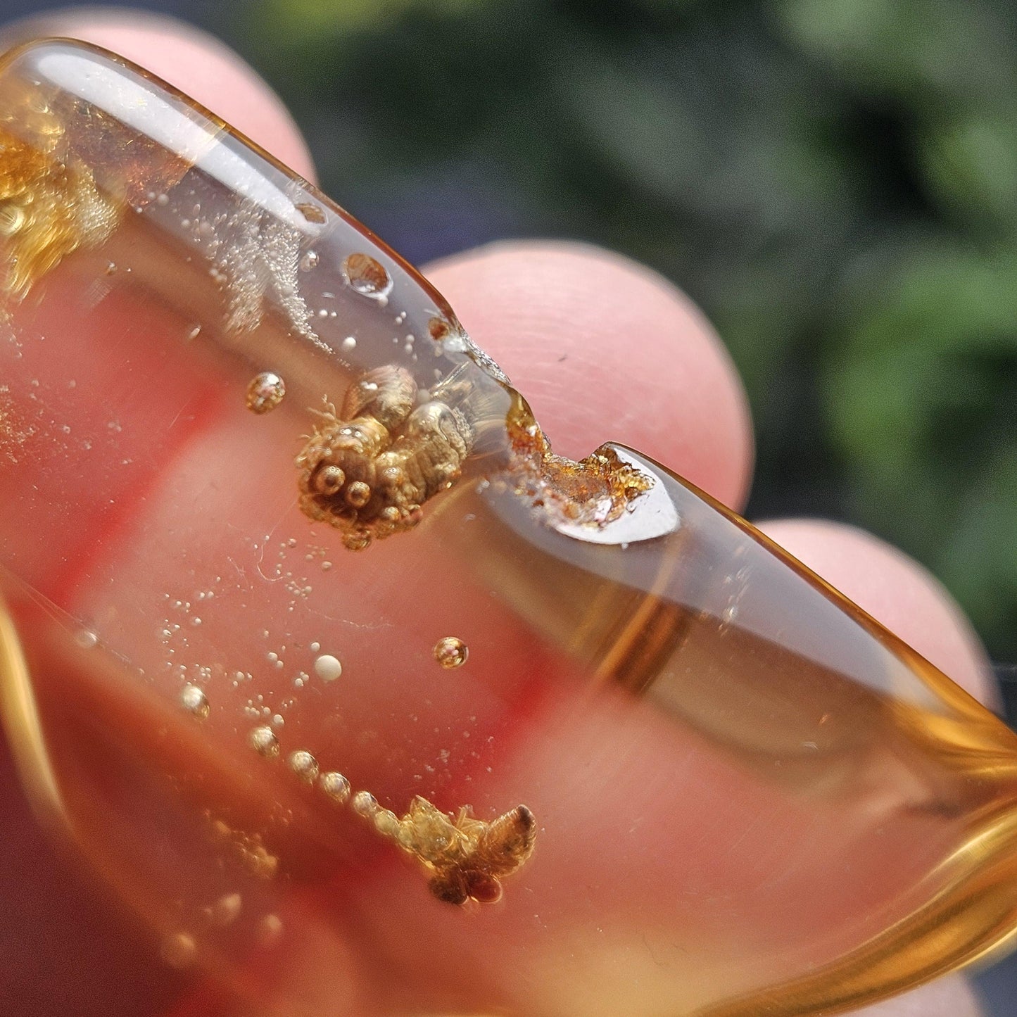 Enhydro Amber with MOVING Bubble & Bug Inclusions, 4.78g