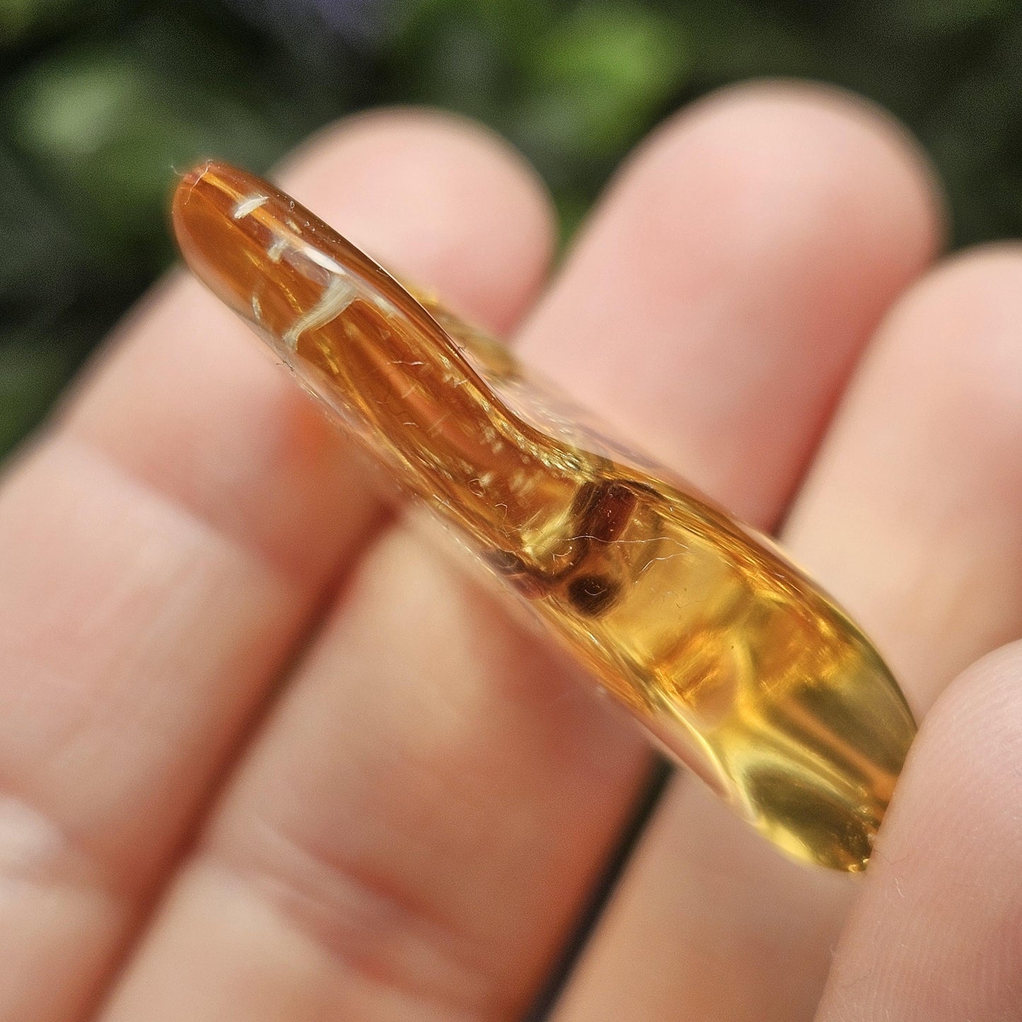 Enhydro Amber with MOVING Bubble & Bug Inclusions, 4.78g