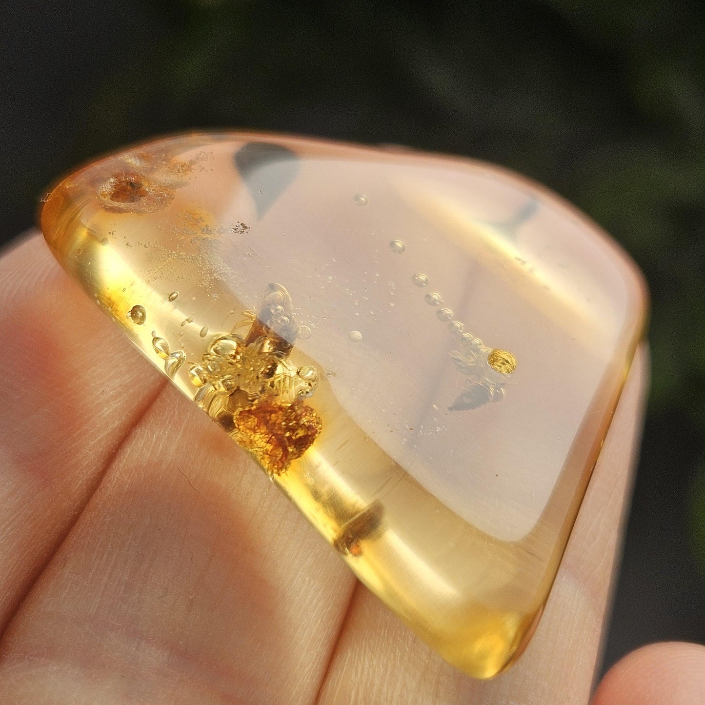 Enhydro Amber with MOVING Bubble & Bug Inclusions, 4.78g
