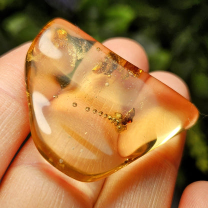 Enhydro Amber with MOVING Bubble & Bug Inclusions, 4.78g