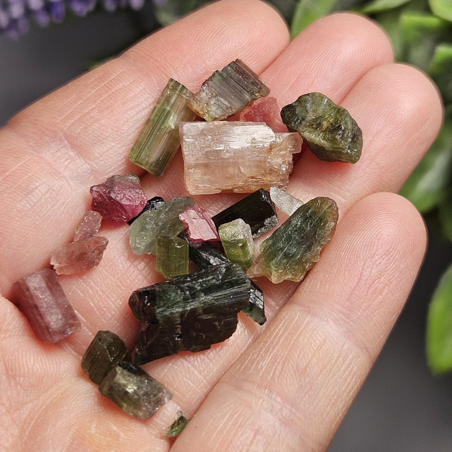 Tourmaline "Candy" Pink & Green Bulk Crystals, Choose Your Size, Brazilian Raw Tourmaline Specimens