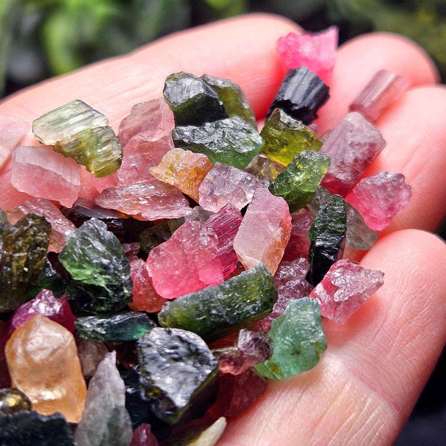 Tourmaline "Candy" Pink & Green Bulk Crystals, Choose Your Size, Brazilian Raw Tourmaline Specimens