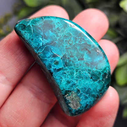 Polished Dioptase Crystal 28.59g, Congo Dioptase Specimen