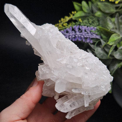Arkansas Quartz Crystal Cluster, 332 grams