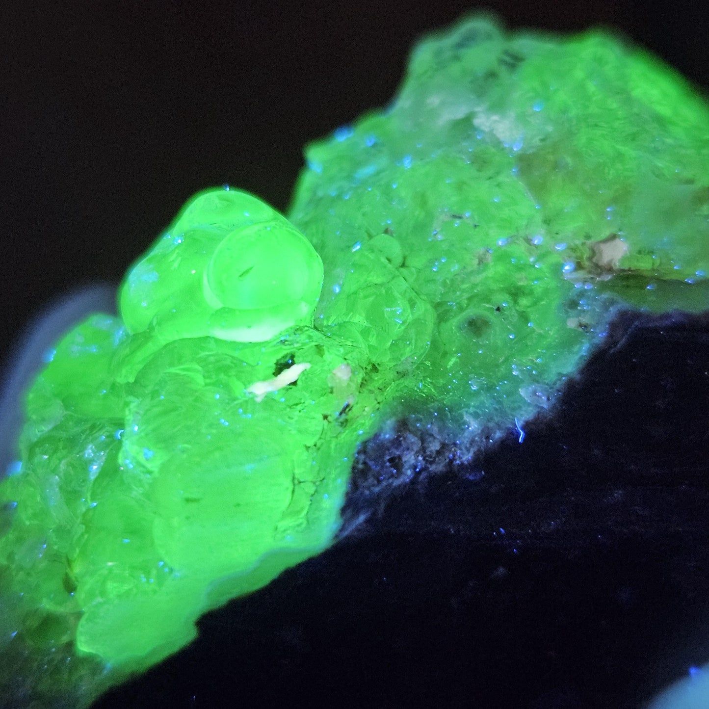 Hyalite Opal Specimen 81.70g, UV Reactive Fluorescent Botryoidal Crystal from Mexico