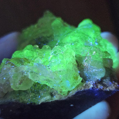 Hyalite Opal Specimen 81.70g, UV Reactive Fluorescent Botryoidal Crystal from Mexico