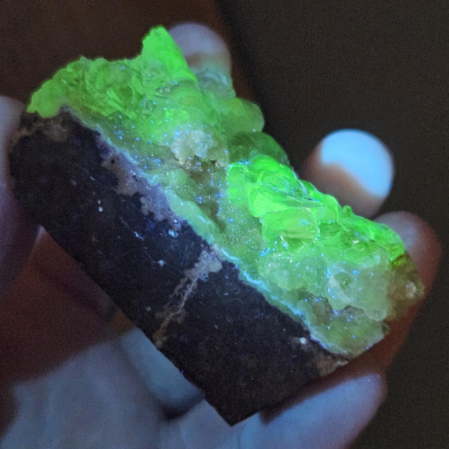 Hyalite Opal Specimen 81.70g, UV Reactive Fluorescent Botryoidal Crystal from Mexico