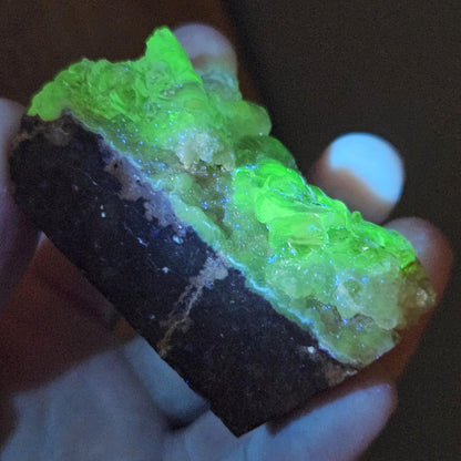 Hyalite Opal Specimen 81.70g, UV Reactive Fluorescent Botryoidal Crystal from Mexico