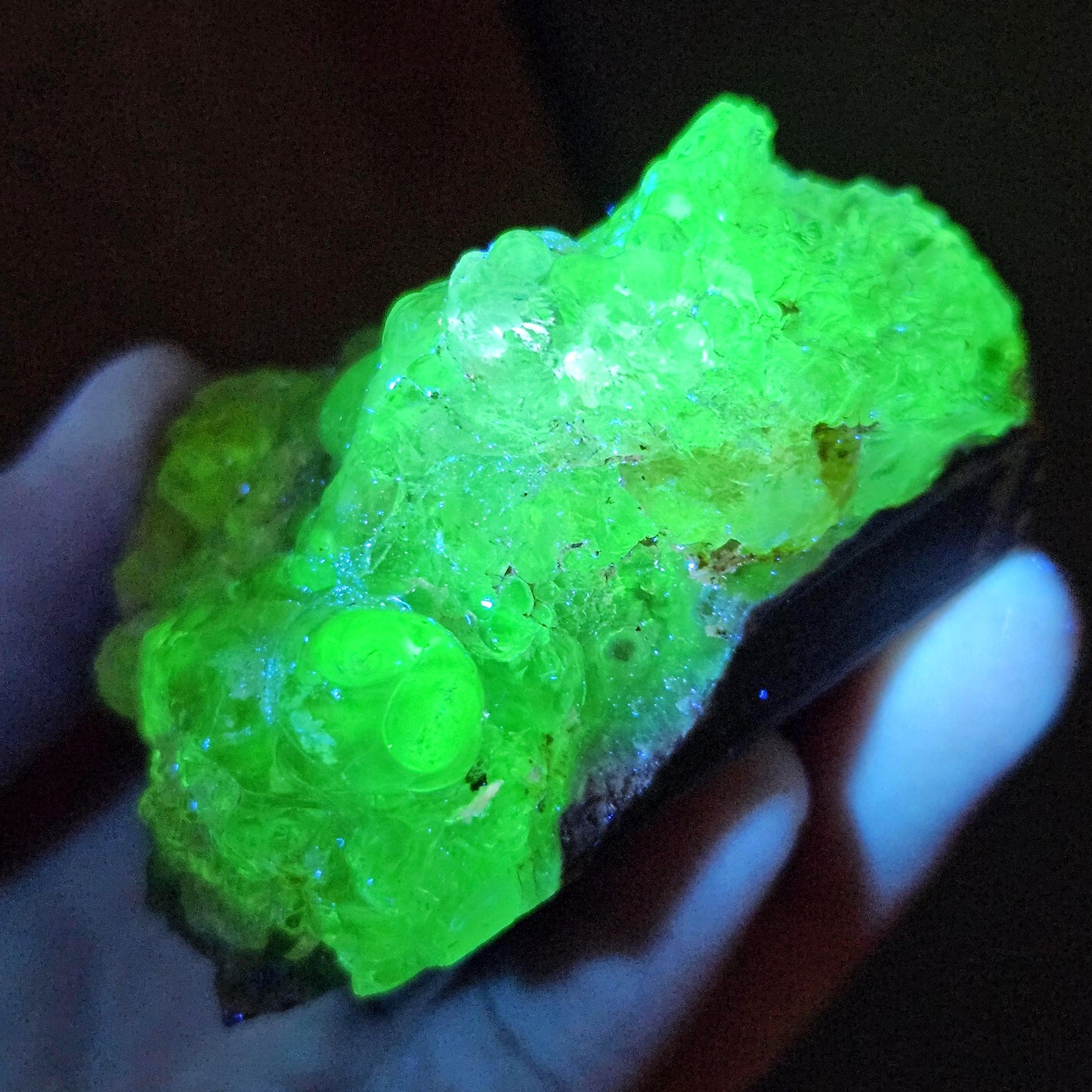 Hyalite Opal Specimen 81.70g, UV Reactive Fluorescent Botryoidal Crystal from Mexico