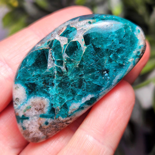 Polished Dioptase in Quartz Crystal 50.80g, Congo Dioptase Specimen