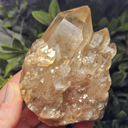 Kundalini Congo Citrine Quartz Cluster 283.5g, Smoky Citrine Crystal Multi
