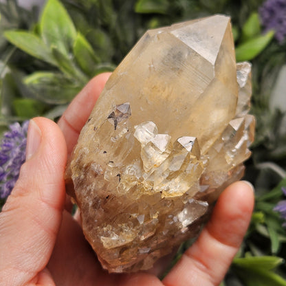 Kundalini Congo Citrine Quartz Cluster 283.5g, Smoky Citrine Crystal Multi