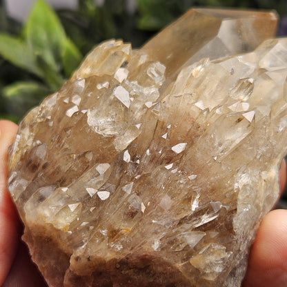 Kundalini Congo Citrine Quartz Cluster 283.5g, Smoky Citrine Crystal Multi